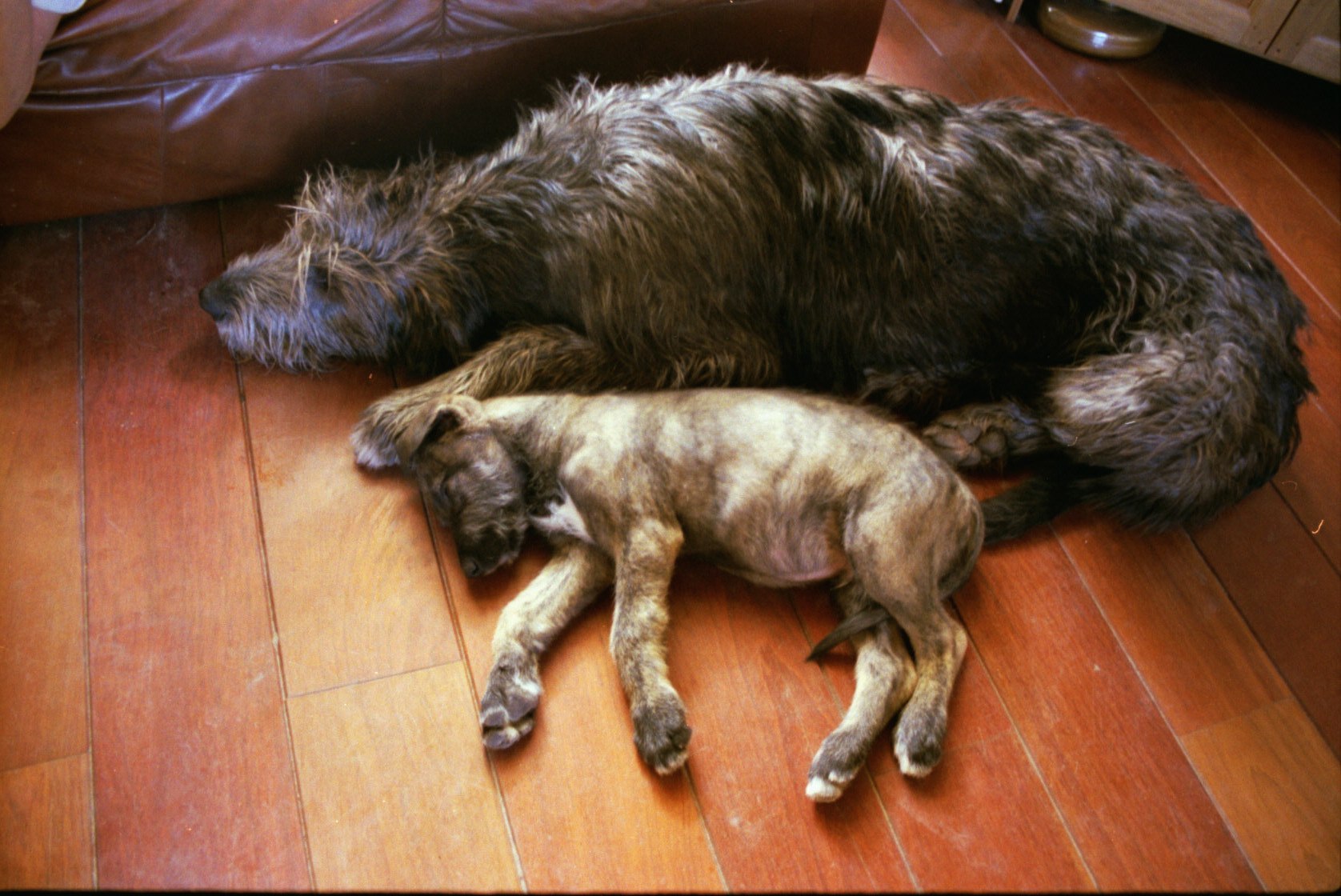 Duncan eerste maand 3