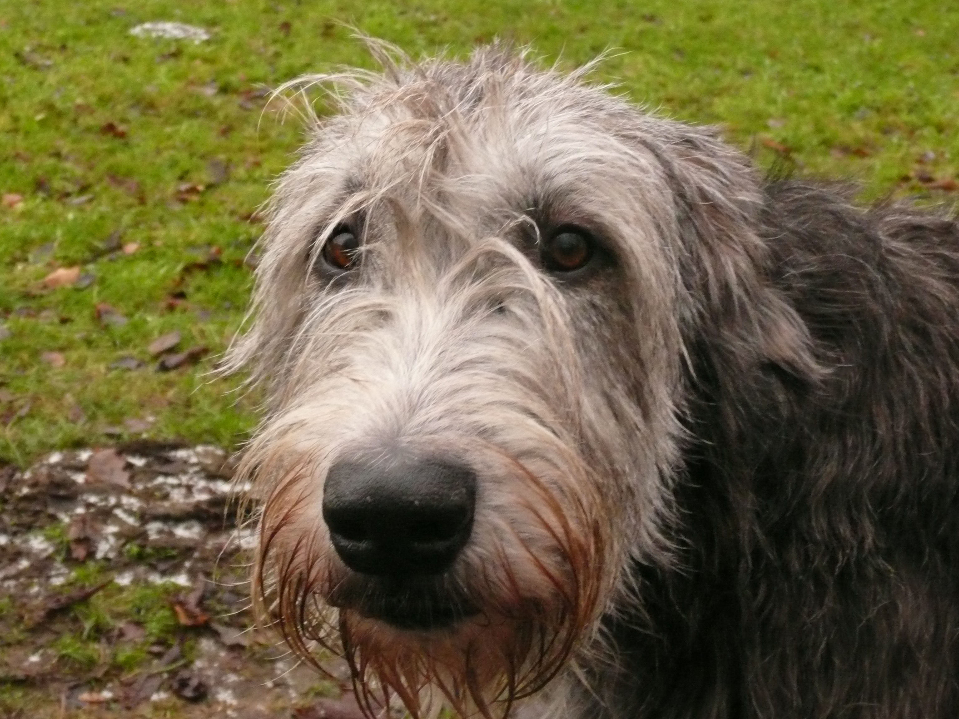 Imma in de camera