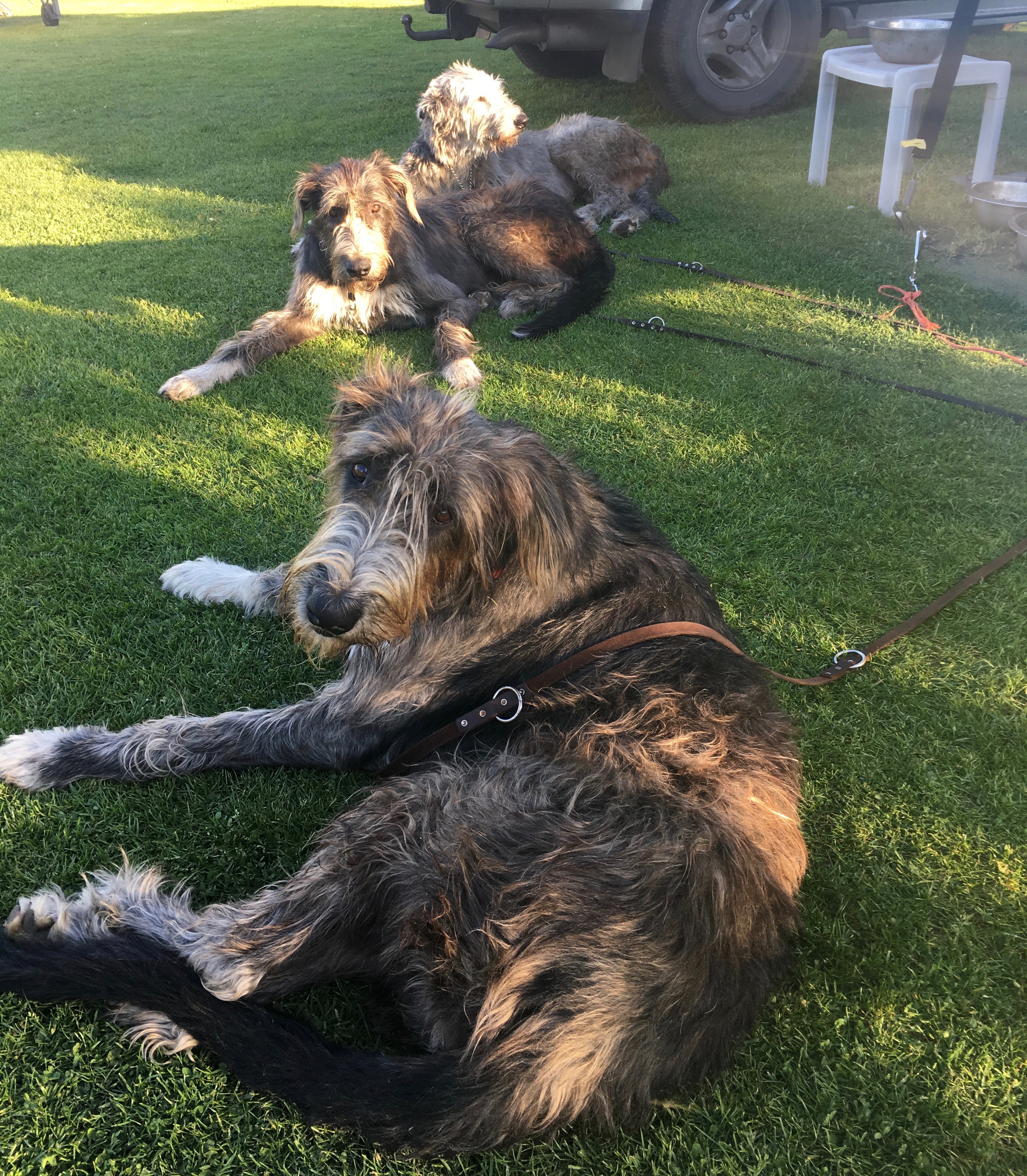 Lilly Zelda en Imma
