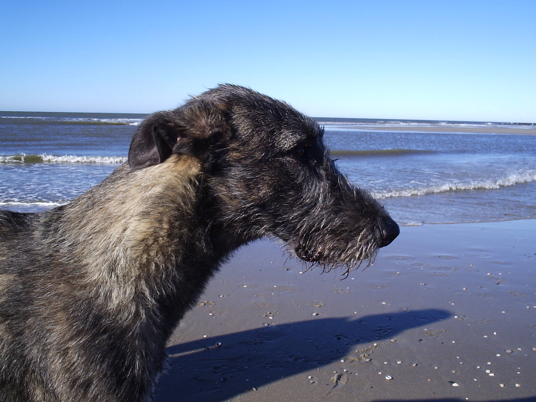 Texel 16 10 05 38